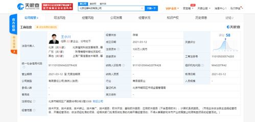 基礎(chǔ)軟件服務(wù) 數(shù)字化時代的基石與賦能引擎