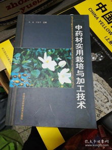 穿越時(shí)光的紙墨長(zhǎng)河 山水書人的書攤與集書癖
